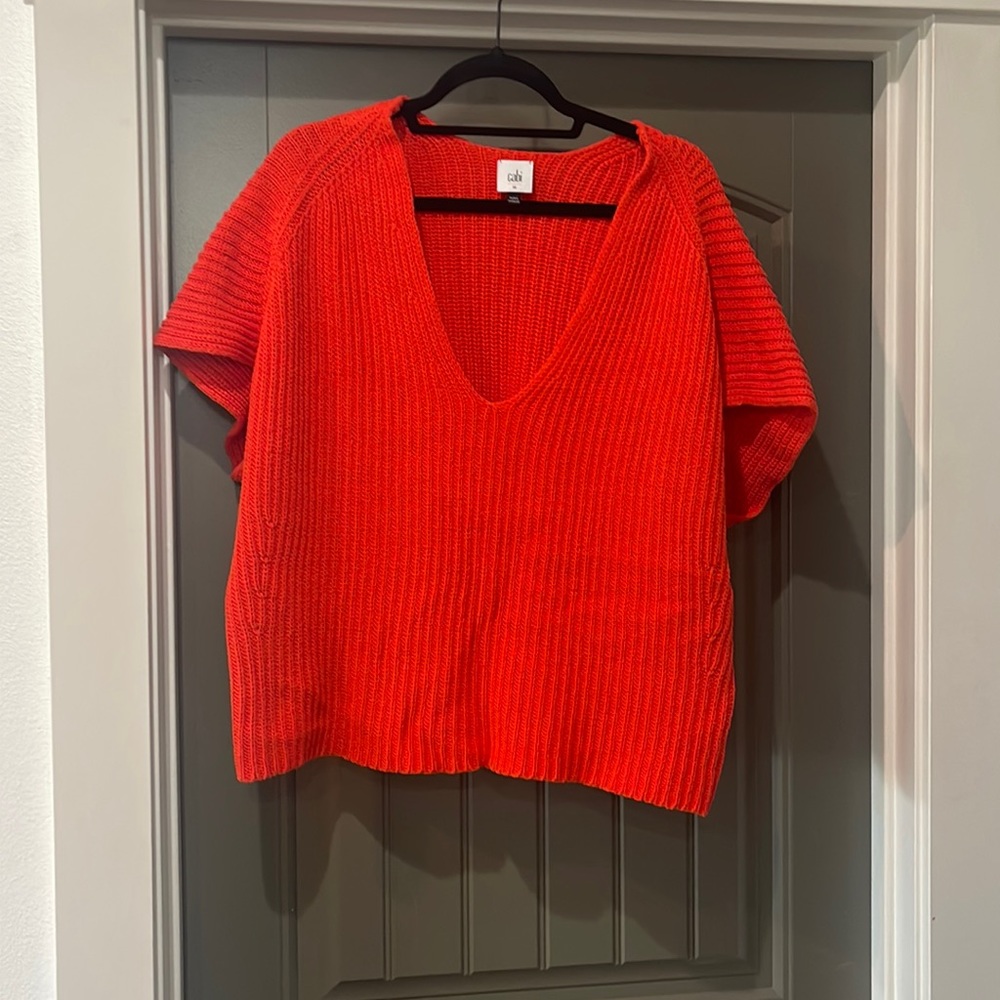 Cabi sweater